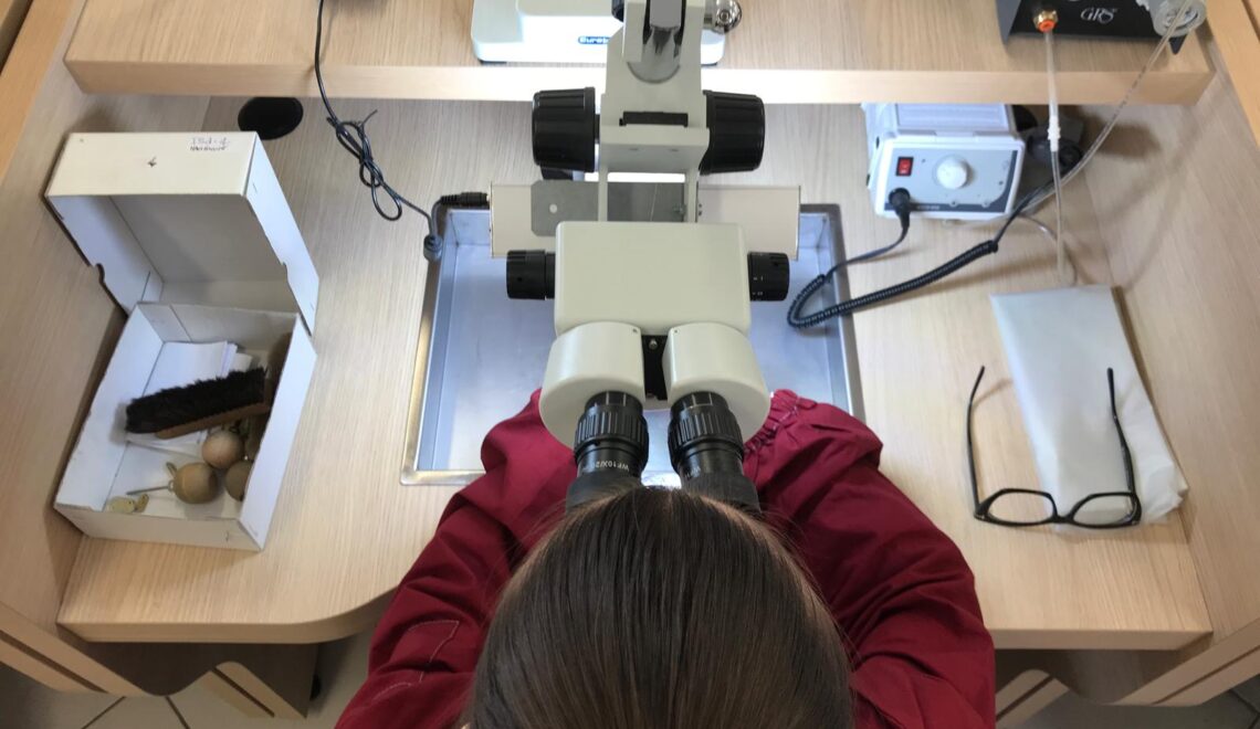 Il domani si modella a Valenza